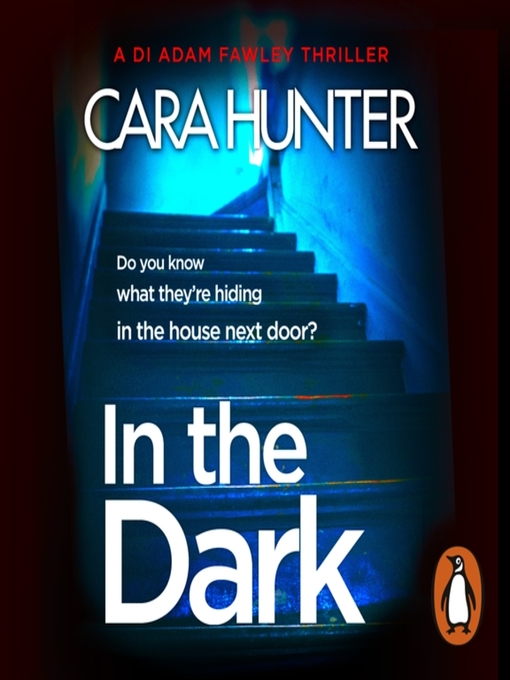 in the dark by cara hunter